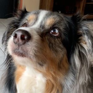 Meet your Posher, Jasmine